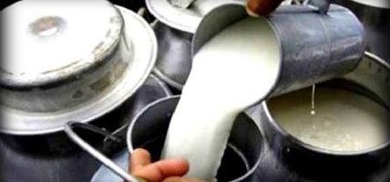 दूध उत्पादन बढाउन अनुदान