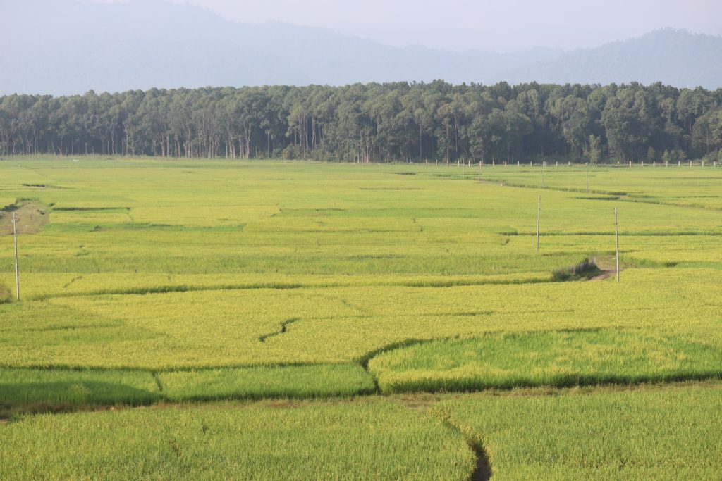 कर्णालीमा खेती गरिएको ६९ प्रतिशत जमिन सिँचाइविहीन
