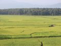 कर्णालीमा खेती गरिएको ६९ प्रतिशत जमिन सिँचाइविहीन