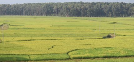कर्णालीमा खेती गरिएको ६९ प्रतिशत जमिन सिँचाइविहीन