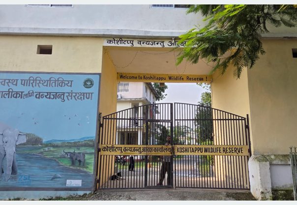 प्रचारप्रसारको अभावमा कोशी टप्पुमा विदेशी पर्यटक न्यून प्रचारप्रसारको अभावमा कोशी टप्पुमा विदेशी पर्यटक न्यून