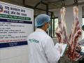 मासु जाँच ऐन कार्यान्वयनमा कडाइ, १२ टास्क फोर्स प्रदेश र स्थानीय तहमा परिचालन मासु जाँच ऐन कार्यान्वयनमा कडाइ, १२ टास्क फोर्स प्रदेश र स्थानीय तहमा परिचालन