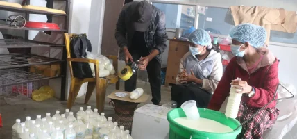 धनकुटाको ‘दुर्गा मोही’ बन्दैछ ब्रान्ड, चिसो पेयको विकल्पमा बढ्दै माग