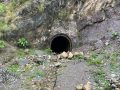 नलगाड जलविद्युत आयोजनाको डीपीआर दराजमै, लगानी अभावमा काम अलपत्र नलगाड जलविद्युत आयोजनाको डीपीआर दराजमै, लगानी अभावमा काम अलपत्र