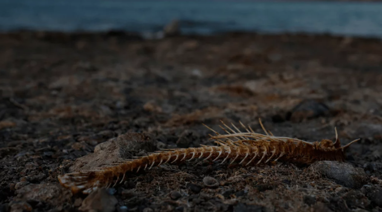 जलवायु परिवर्तन र कृषि सङ्कटले द्वन्द्व तथा विस्थापनको जोखिम बढाउँदै : अनुसन्धान जलवायु परिवर्तन र कृषि सङ्कटले द्वन्द्व तथा विस्थापनको जोखिम बढाउँदै : अनुसन्धान