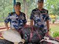 कटारीबाट १३० किलो गाँजा बरामद, ओसारपसारमा संलग्न फरार कटारीबाट १३० किलो गाँजा बरामद, ओसारपसारमा संलग्न फरार
