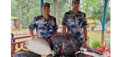 कटारीबाट १३० किलो गाँजा बरामद, ओसारपसारमा संलग्न फरार
