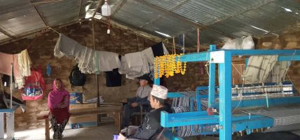 गाउँमै खुले उद्योग, भेडाको ऊनले पनि बजार पायो