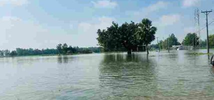 लखनदेई खोलामा आएको बाढीले भाडसर खुटौनाको बस्ती र धान खेत डुबानमा
