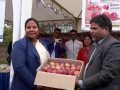 स्वदेशी स्याउ प्रवद्र्धन कार्यक्रमको मन्त्री चौधरीद्वारा निरीक्षण स्वदेशी स्याउ प्रवद्र्धन कार्यक्रमको मन्त्री चौधरीद्वारा निरीक्षण