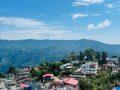 झरीपछि खुलेको इलामको मौसम, चियाबारीको दृश्य मनमोहक