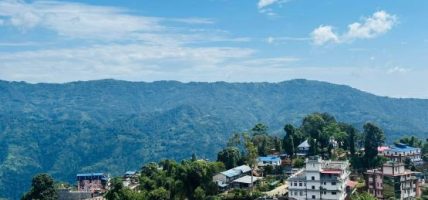 झरीपछि खुलेको इलामको मौसम, चियाबारीको दृश्य मनमोहक
