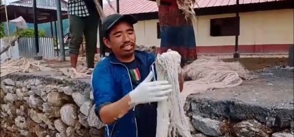 जंगलमा नास भए जाने अल्लोबाट कपडा बनाउँदै डडुवाका थामी समुदाय