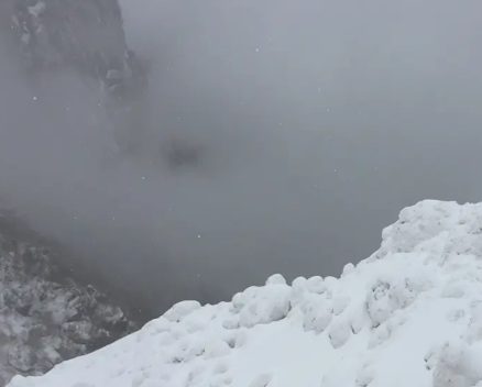 जडीबुटी संकलन गर्न हिमाली क्षेत्रतर्फ गएका १० जना बेपत्ता