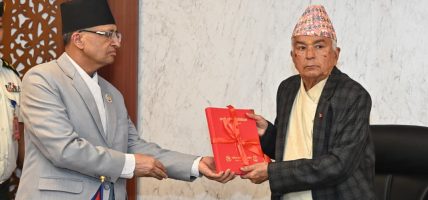राष्ट्रपतिसमक्ष राष्ट्रिय समावेशी आयोगको वार्षिक प्रतिवेदन पेस