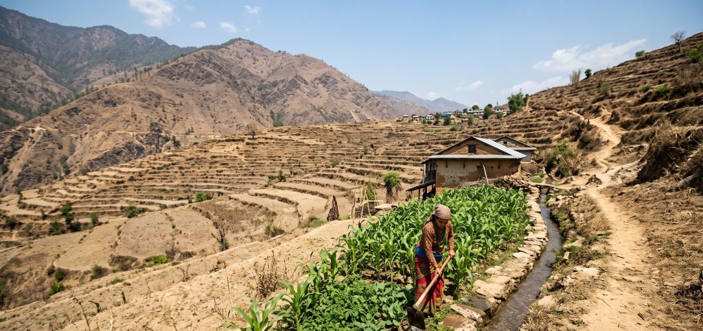 कर्णालीमा खेती गरिएको २७ प्रतिशत जमिनमा मात्रै वर्षभरि सिँचाइ