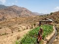 कर्णालीमा खेती गरिएको २७ प्रतिशत जमिनमा मात्रै वर्षभरि सिँचाइ कर्णालीमा खेती गरिएको २७ प्रतिशत जमिनमा मात्रै वर्षभरि सिँचाइ