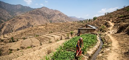 कर्णालीमा खेती गरिएको २७ प्रतिशत जमिनमा मात्रै वर्षभरि सिँचाइ