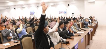 प्रतिनिधिसभाबाट भोटेकोशी बाढी विपद्सम्बन्धी विशेष प्रस्ताव पारित