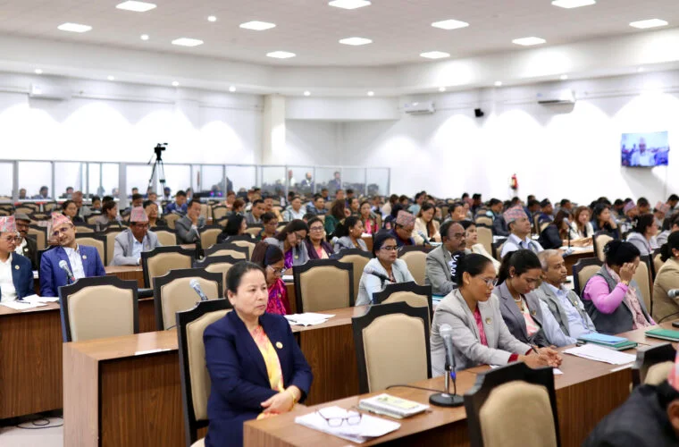 प्रतिनिधिसभाः समसामयिक विषयमा सरकारको ध्यानाकर्षण