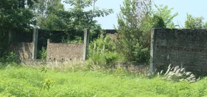 मधेस प्रदेश मा शीतभण्डार आयोजना अलपत्र,किसानको जग्गा सात वर्षदेखि उपयोगविहीन