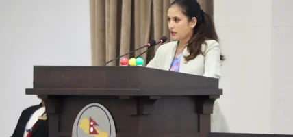 प्रतिनिधिसभाः सामाजिक सुरक्षासम्बन्धी विधेयकमाथि विचार गरियोस् भन्ने प्रस्ताव स्वीकृत