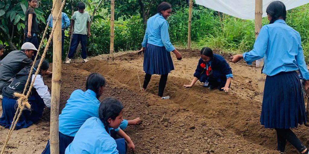 लिमचुङबुङमा ‘शिक्षामा सीप’ कार्यक्रम लागू