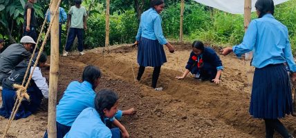 लिमचुङबुङमा ‘शिक्षामा सीप’ कार्यक्रम लागू