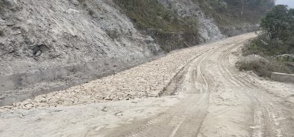 दमौली-केशवटार-बुद्धसिंह सडक स्तरोन्नति गरिँदै