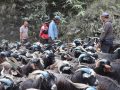 रेशमी मार्गको विरासत धानेको च्याङ्ग्रा व्यापार