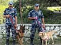 गड्डाचौकीमा ‘अल्फा’ र ‘डेल्टा’ को ‘ड्युटी’ गड्डाचौकीमा ‘अल्फा’ र ‘डेल्टा’ को ‘ड्युटी’