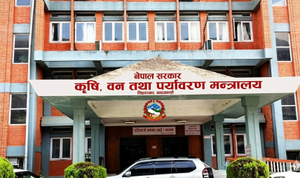 कोप ३१ः आन्तरिक तयारी तीव्र, राष्ट्रिय स्थितिपत्र अन्तिमचरणमा कोप ३१ः आन्तरिक तयारी तीव्र, राष्ट्रिय स्थितिपत्र अन्तिमचरणमा