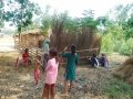 माहुत समुदायः परम्परागत पेसा छुट्यो, अभाव र सङ्कट घटेन