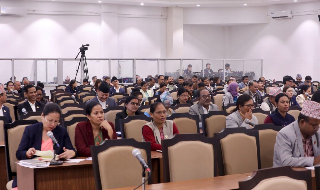 संसद्लाई सरकारको प्रतिरक्षा र आलोचना गर्ने थलोमात्र बनाउन हुँदैनः सचेतक धिताल