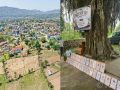 रौनक हराएको दसैँ रौनक हराएको दसैँ
