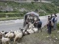 सहरको स्वादका लागि छुट्छ हिमालको दसैँ–तिहार सहरको स्वादका लागि छुट्छ हिमालको दसैँ–तिहार