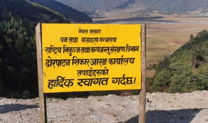 ढोरपाटनमा नाउर र झारलको गणना गरिँदै ढोरपाटनमा नाउर र झारलको गणना गरिँदै