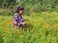 फूलको अग्रिम माग हुन थालेपछि व्यवसायी उत्साहित