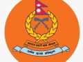 वडादशैंका लागि सशस्त्र प्रहरीद्वारा १२४ वटा पिङ निर्माणमा सहयोग वडादशैंका लागि सशस्त्र प्रहरीद्वारा १२४ वटा पिङ निर्माणमा सहयोग