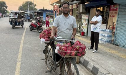 साइकलमा ‘ड्रागन फ्रुट’ बेचेर स्वरोजगारको सन्देश प्रवाह गर्दै उद्यमी पन्त साइकलमा ‘ड्रागन फ्रुट’ बेचेर स्वरोजगारको सन्देश प्रवाह गर्दै उद्यमी पन्त