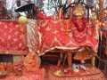 दशैंपछि पाथीभरामा भक्तजनको आगमन बढ्यो दशैंपछि पाथीभरामा भक्तजनको आगमन बढ्यो