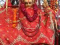 तीन महिनामा २० बढीले गरे पाथीभराको दर्शन, ३३ लाख २६ हजार भेटी संकलन