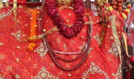 तीन महिनामा २० बढीले गरे पाथीभराको दर्शन, ३३ लाख २६ हजार भेटी संकलन