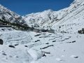हिमपातले लिमी र हिल्सा सडक अवरुद्ध, हिउँ पन्छाउन स्थानीयको माग हिमपातले लिमी र हिल्सा सडक अवरुद्ध, हिउँ पन्छाउन स्थानीयको माग