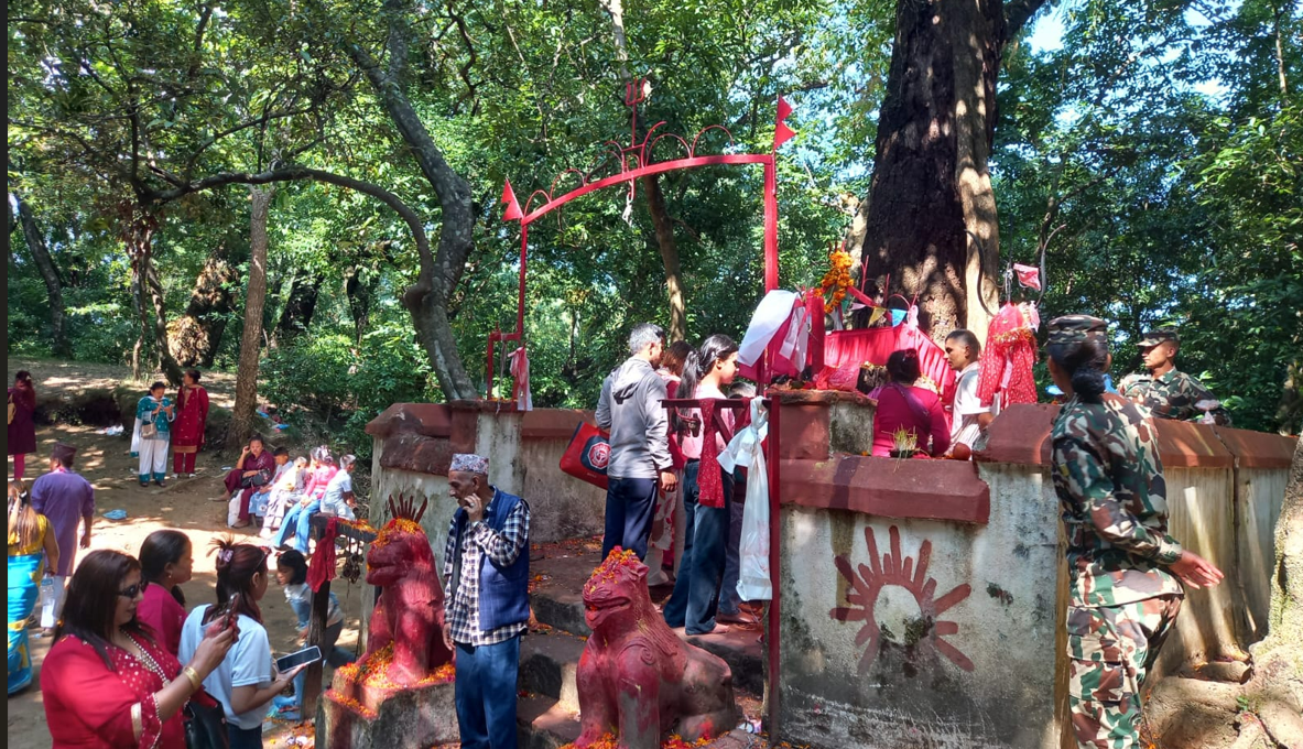 गोकर्ण जङ्गलको वनदेवीमा दर्शनार्थीको लाम