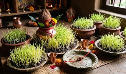 जमरा शिरमा मात्रै लगाउने होइन, स्वास्थ्यका लागि पनि उपयोगी