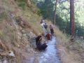 बाजुराको चारवटा वडा सडक सञ्जालको पहुँच बाहिर बाजुराको चारवटा वडा सडक सञ्जालको पहुँच बाहिर