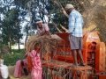धान दाइँमा आधुनिक थ्रेसरको प्रयोग बढ्दै धान दाइँमा आधुनिक थ्रेसरको प्रयोग बढ्दै