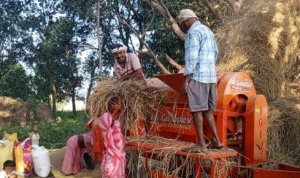 धान दाइँमा आधुनिक थ्रेसरको प्रयोग बढ्दै धान दाइँमा आधुनिक थ्रेसरको प्रयोग बढ्दै