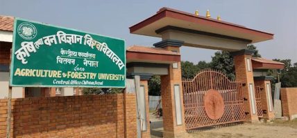 कृषि तथा वन विज्ञान विश्वविद्यालय : अध्ययन बिदा छानविन गर्न छानबिन समिति गठन